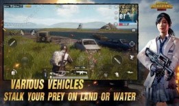 pubg国际服最新模式爆料,揭秘极限竞技新篇章