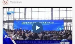 热点爆料潜江新闻,揭秘潜江最新热点爆料！