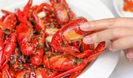 娃娃爆料小龙虾视频,小龙虾背后的秘密，视频曝光惊人内幕！