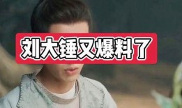 八卦爆料刘大锤视频在线观看,刘大锤视频在线观看，揭秘幕后真相
