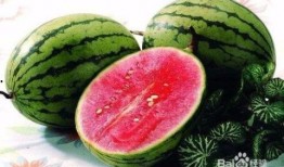 可以吃网红瓜的qq群名,QQ群名背后的娱乐盛宴