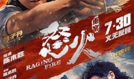 怒火风云在线观看,热血激战，复仇之路