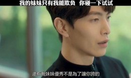坏哥哥电影在线观看,在线观影，揭秘兄弟情仇的黑暗面
