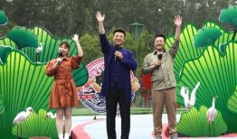 蚌埠烧烤爆料事件视频最新,真相与争议交织的街头美食风云