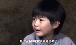 鹤轩徒弟爆料视频,揭秘幕后真相与惊人内幕