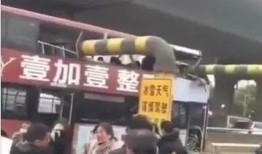 武汉爆料视频大全,揭秘城市生活百态