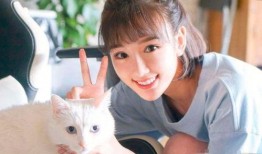 娱乐圈爆料毛晓彤,娱乐圈新恋情疑云重重