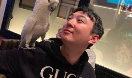 网红吃瓜事件狗头,狗头表情背后的网络狂欢与反思