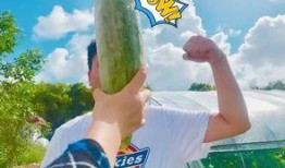 网红吃瓜免费群,揭秘娱乐圈幕后真相