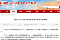 猪瘟最新爆料消息新闻,揭秘病毒传播途径与防控措施