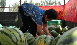 村里近期吃瓜事件网红,揭秘近期吃瓜事件网红背后的故事