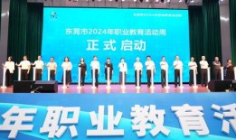 东莞热点新闻爆料视频,揭秘视频爆料背后的真相与影响