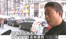 爆料马路要钱大叔视频,揭秘城市道路收费之谜