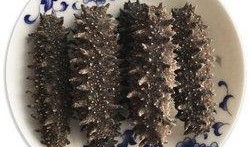 网红爆料海参代餐视频,海参代餐，真的健康有效吗？