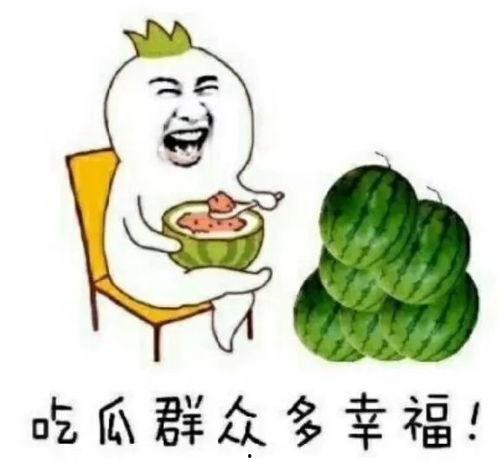 每日娱乐吃瓜