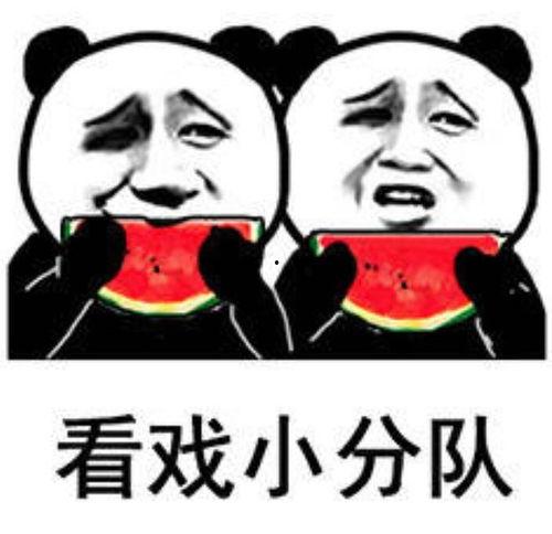 吃瓜表情包猹,吃瓜群众的欢乐源泉