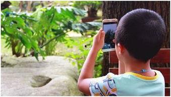 娱乐吃瓜摄影师是谁,幕后英雄的独家故事