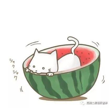 吃瓜群众的卡通图片,趣味解读社会热点现象